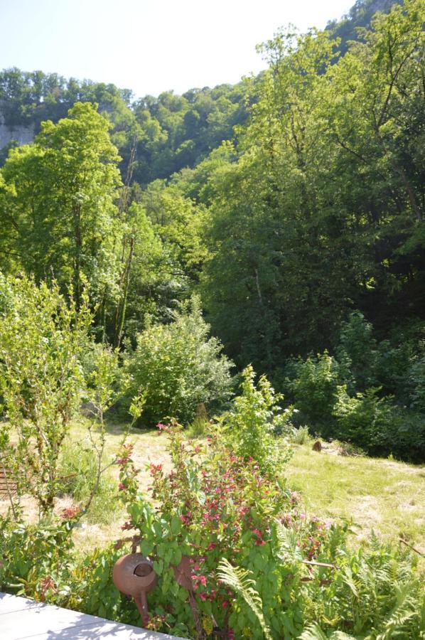 Moulin De La Cuse - L'Ilote Bed & Breakfast Cusance Dış mekan fotoğraf