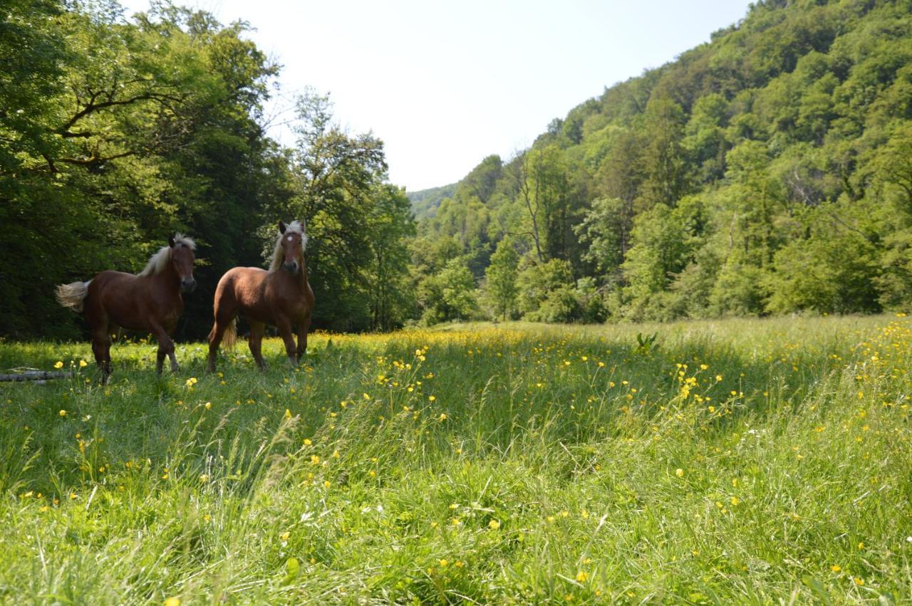 Moulin De La Cuse - L'Ilote Bed & Breakfast Cusance Dış mekan fotoğraf